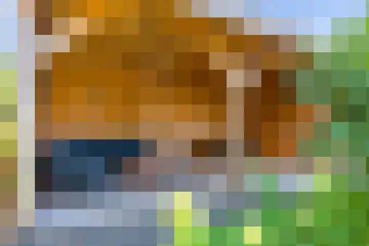 Witte de Withlaan 12 Bussum thumbnail 35