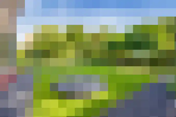 Witte de Withlaan 12 Bussum thumbnail 36