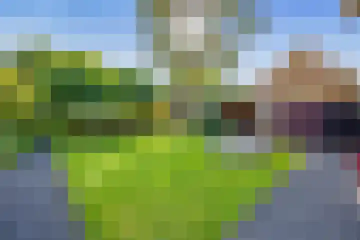Witte de Withlaan 12 Bussum thumbnail 37