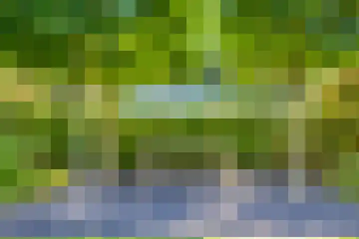 Witte de Withlaan 12 Bussum thumbnail 38