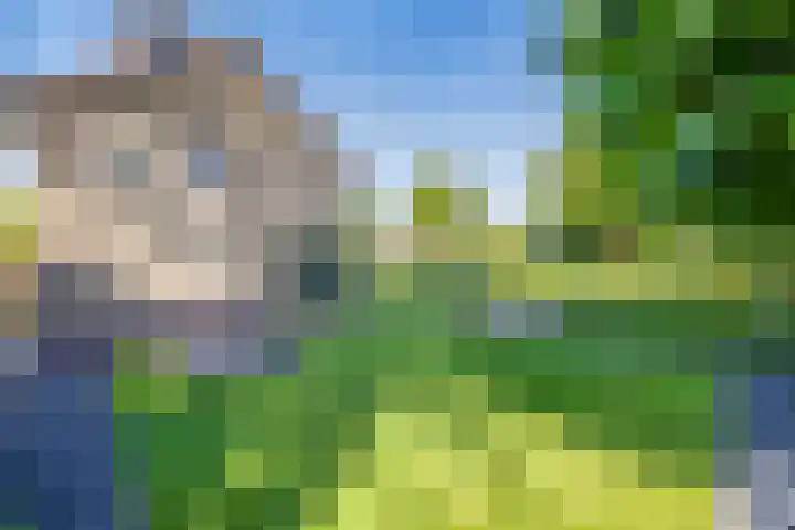 Witte de Withlaan 12 Bussum thumbnail 39