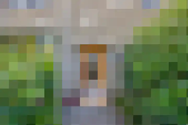 Witte de Withlaan 12 Bussum thumbnail 4