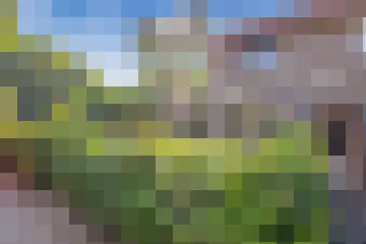 Witte de Withlaan 12 Bussum thumbnail 40