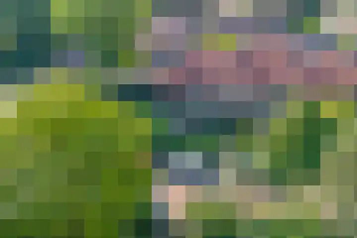 Witte de Withlaan 12 Bussum thumbnail 41