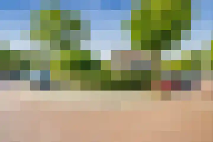 Witte de Withlaan 12 Bussum thumbnail 42