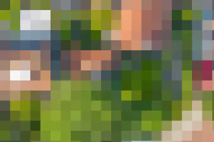 Witte de Withlaan 12 Bussum thumbnail 43