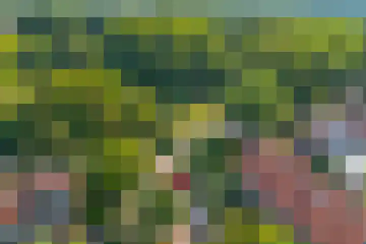 Witte de Withlaan 12 Bussum thumbnail 44