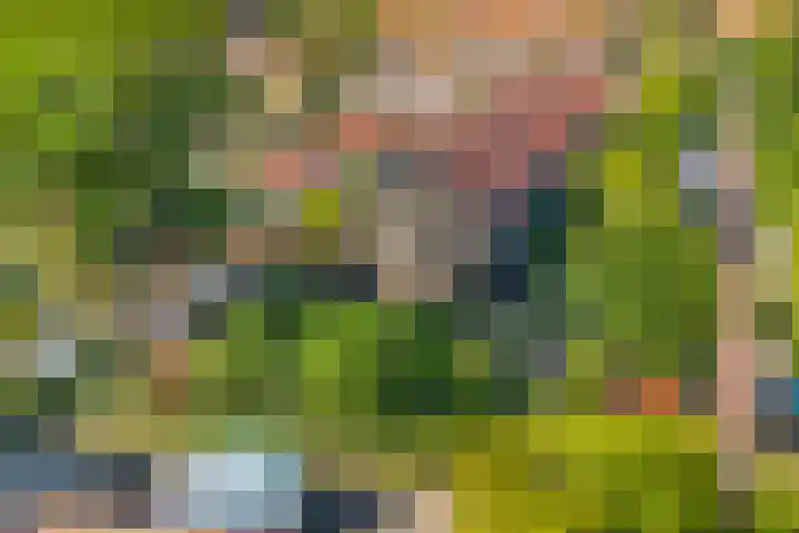 Witte de Withlaan 12 Bussum thumbnail 45