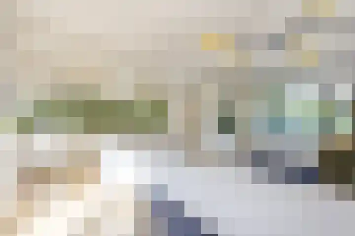 Witte de Withlaan 12 Bussum thumbnail 6
