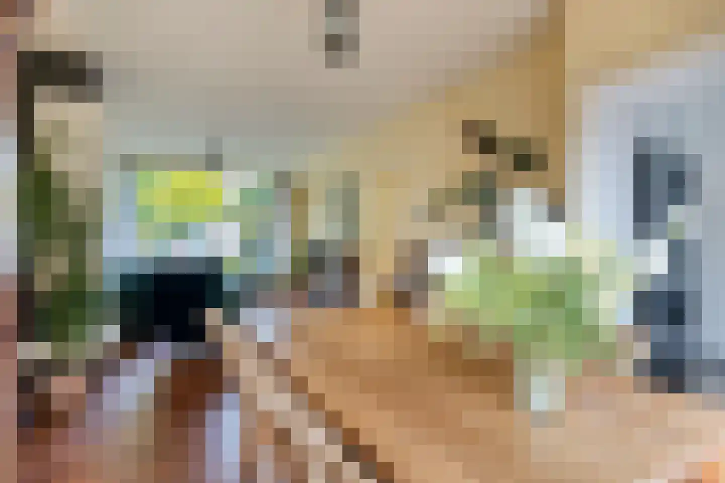 Witte de Withlaan 14 Oegstgeest thumbnail 12