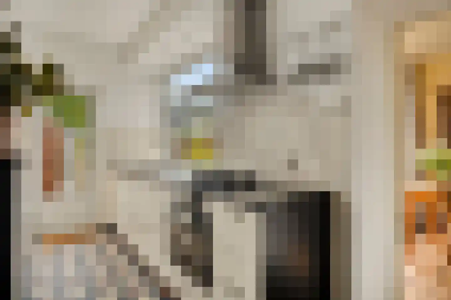 Witte de Withlaan 14 Oegstgeest thumbnail 13