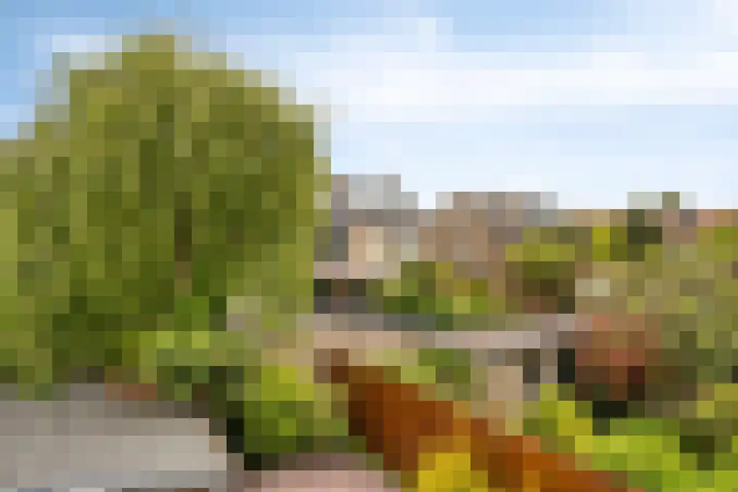 Witte de Withlaan 14 Oegstgeest thumbnail 27