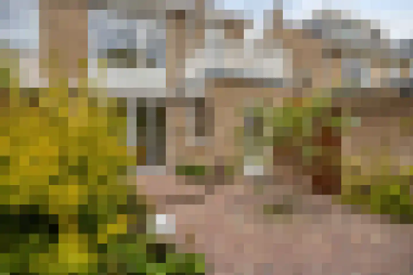 Witte de Withlaan 14 Oegstgeest thumbnail 34