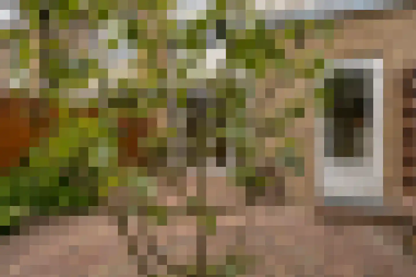 Witte de Withlaan 14 Oegstgeest thumbnail 35