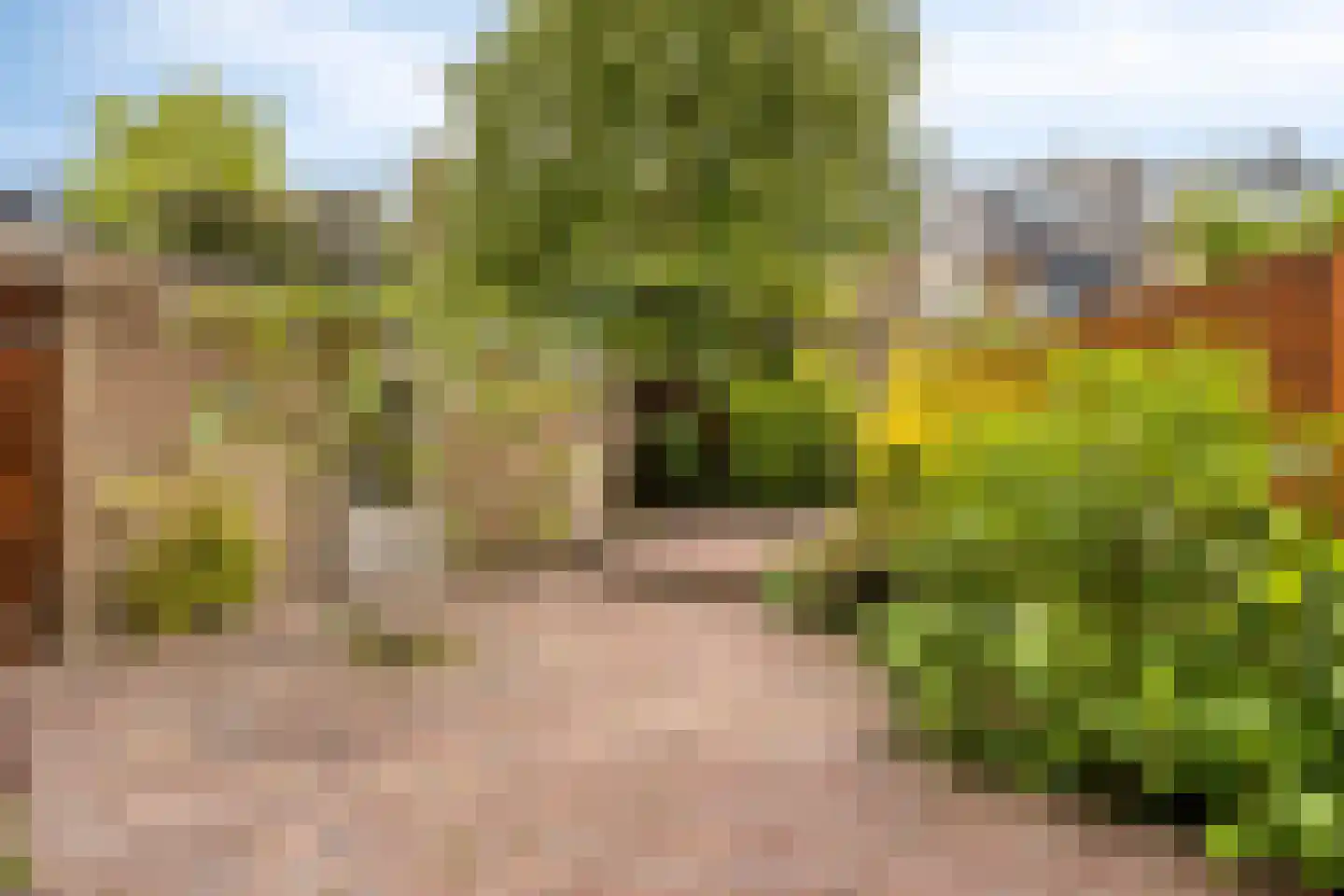 Witte de Withlaan 14 Oegstgeest thumbnail 37