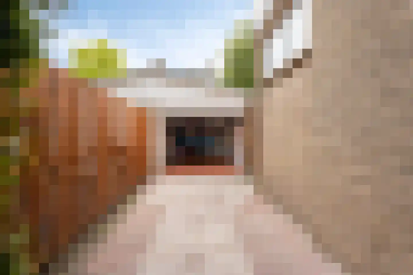Witte de Withlaan 14 Oegstgeest thumbnail 39