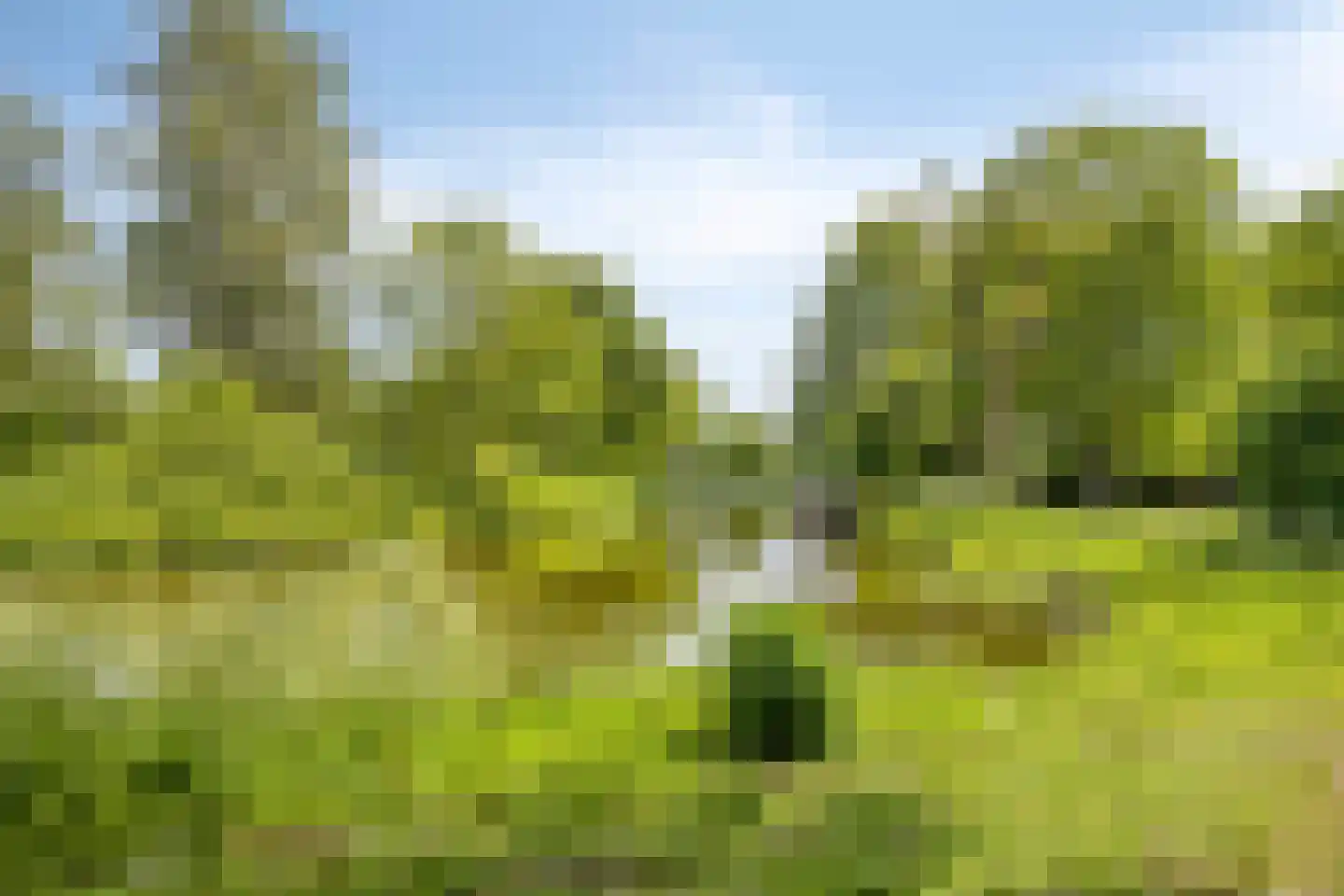 Witte de Withlaan 14 Oegstgeest thumbnail 49