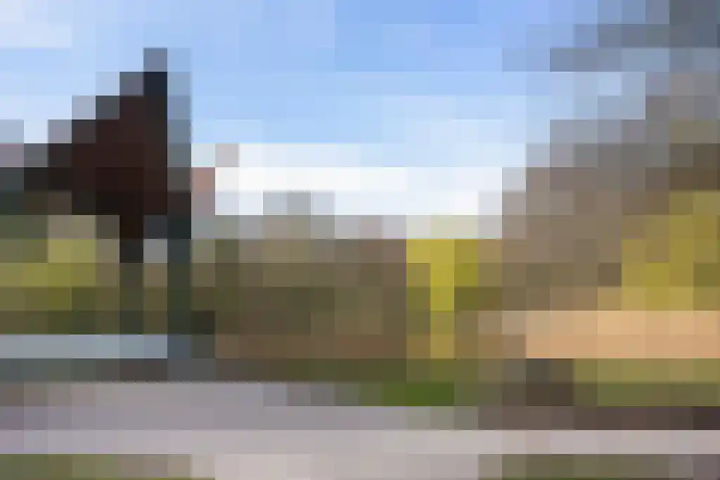 Witte de Withlaan 14 Oegstgeest thumbnail 54