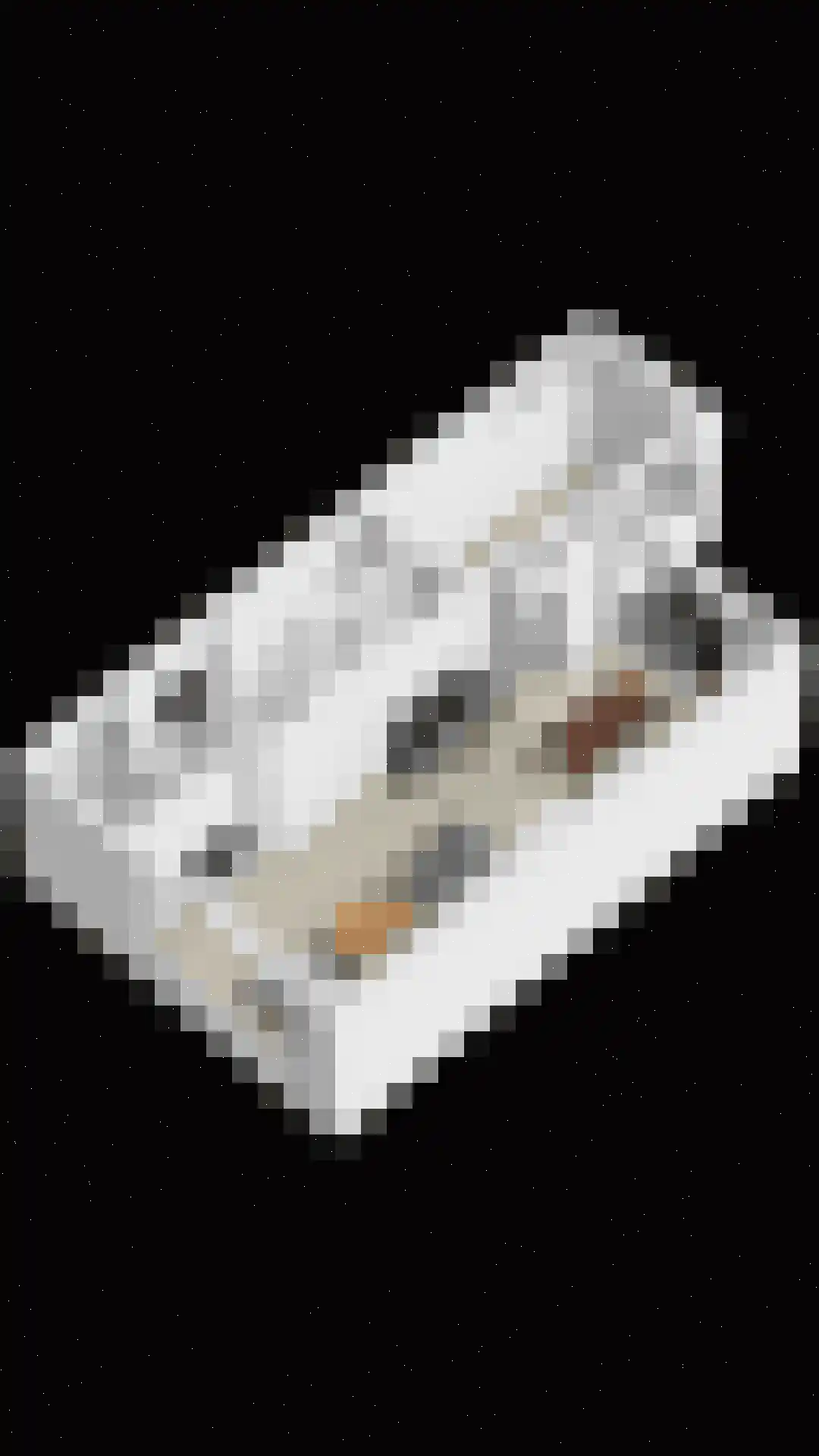 Witte de Withlaan 14 Oegstgeest thumbnail 65