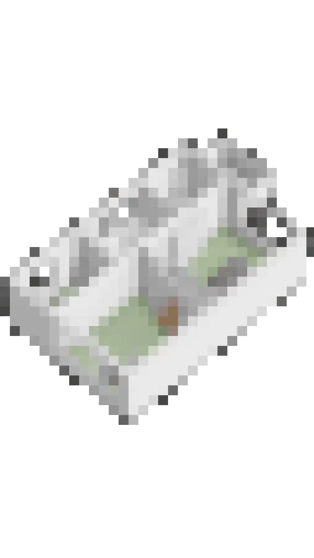 Witte de Withlaan 14 Oegstgeest thumbnail 66