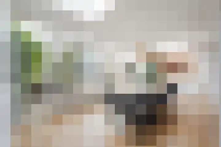 Witte de Withlaan 21 Bennebroek thumbnail 10