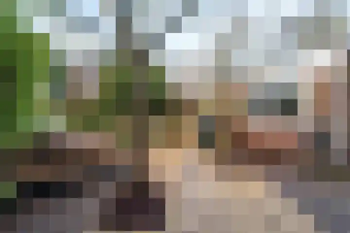 Witte de Withlaan 21 Bennebroek thumbnail 11