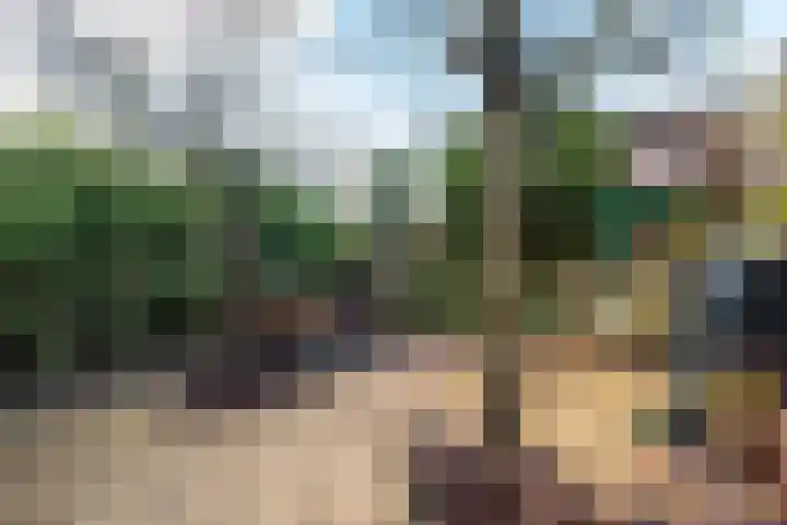 Witte de Withlaan 21 Bennebroek thumbnail 12