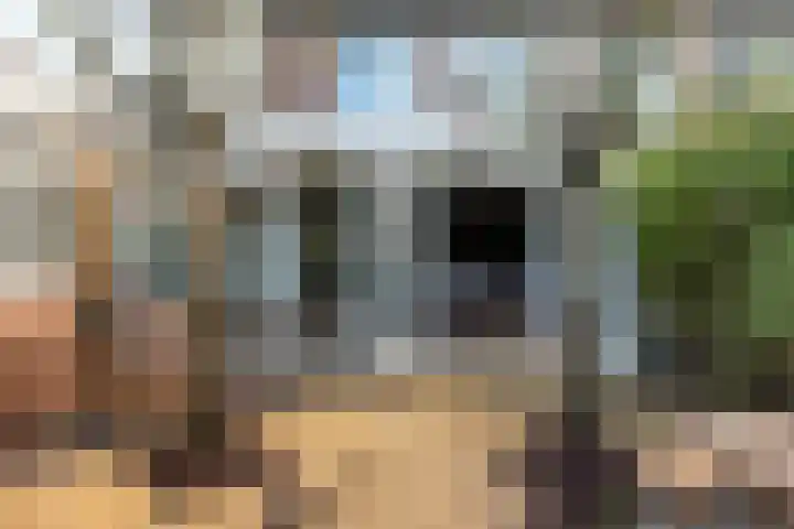 Witte de Withlaan 21 Bennebroek thumbnail 13
