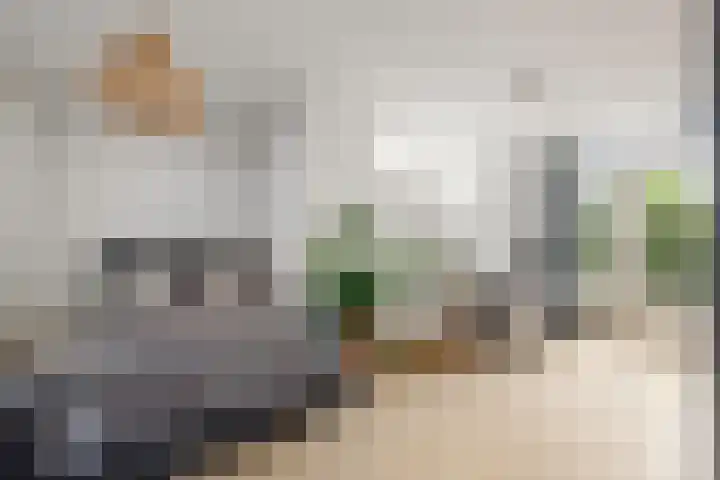 Witte de Withlaan 21 Bennebroek thumbnail 15