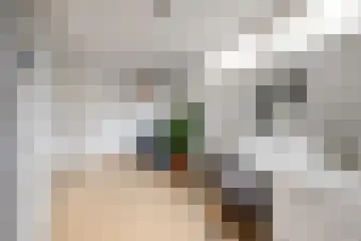 Witte de Withlaan 21 Bennebroek thumbnail 16