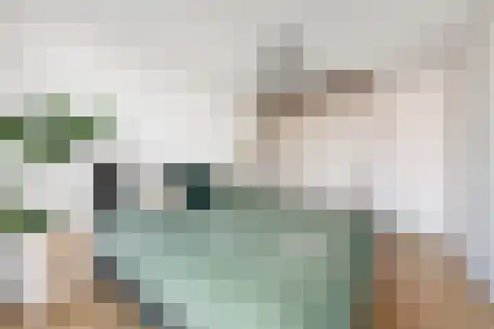 Witte de Withlaan 21 Bennebroek thumbnail 19