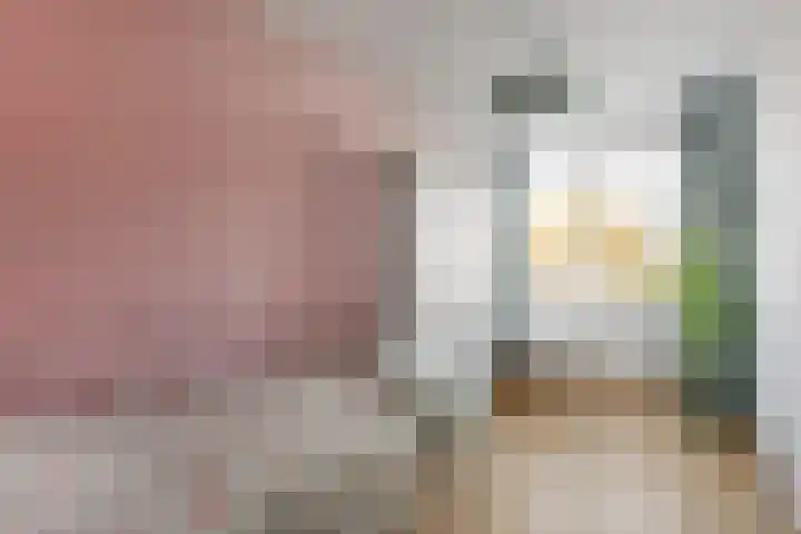 Witte de Withlaan 21 Bennebroek thumbnail 21