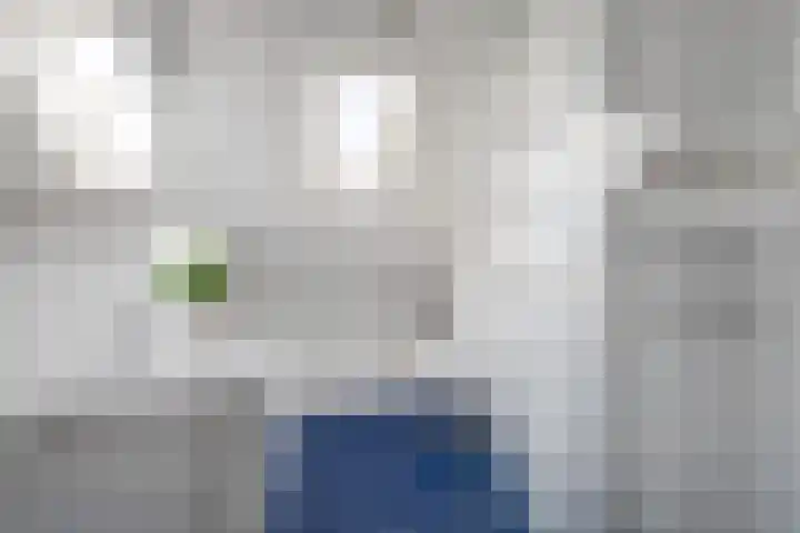 Witte de Withlaan 21 Bennebroek thumbnail 23