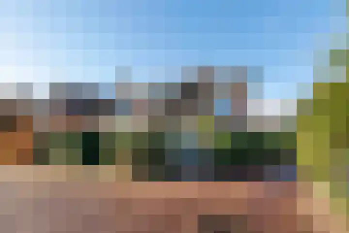 Witte de Withlaan 21 Bennebroek thumbnail 30