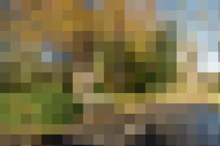 Witte de Withlaan 21 Bennebroek thumbnail 33