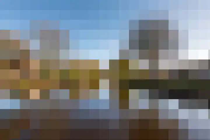 Witte de Withlaan 21 Bennebroek thumbnail 34