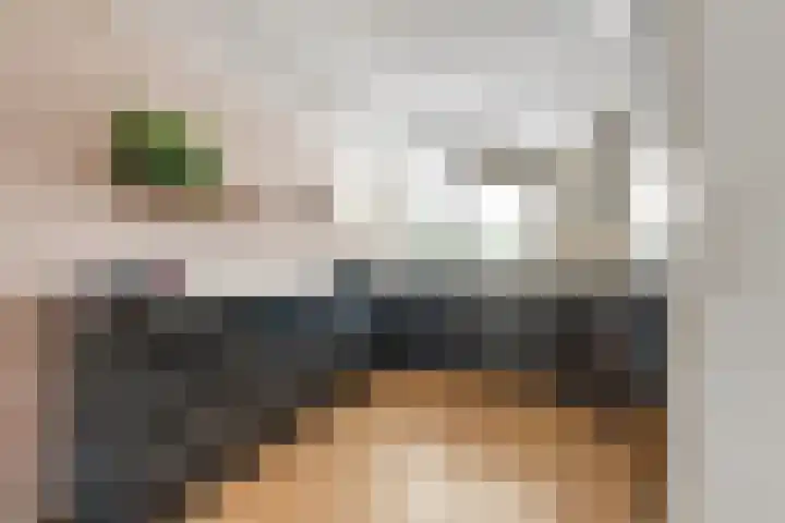 Witte de Withlaan 21 Bennebroek thumbnail 4