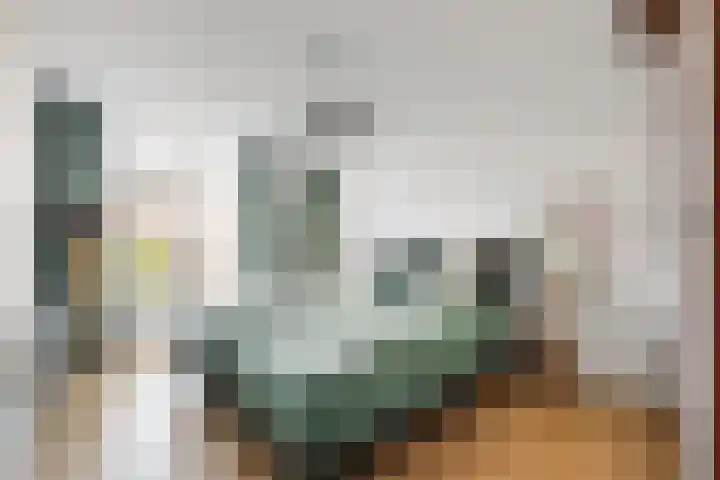 Witte de Withlaan 21 Bennebroek thumbnail 5