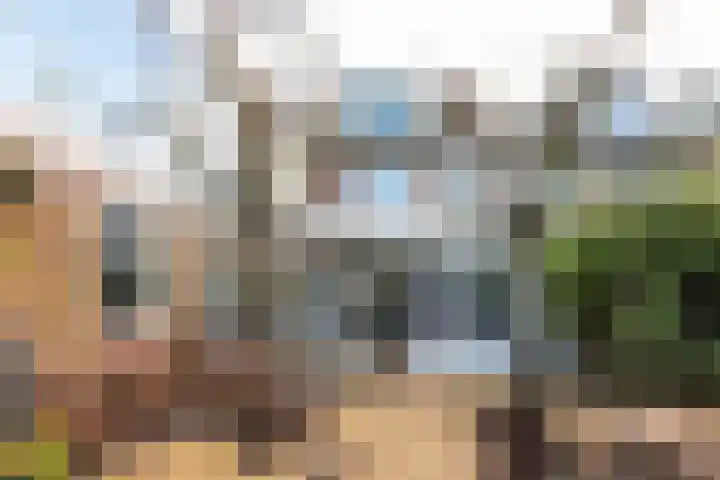 Witte de Withlaan 21 Bennebroek thumbnail 6