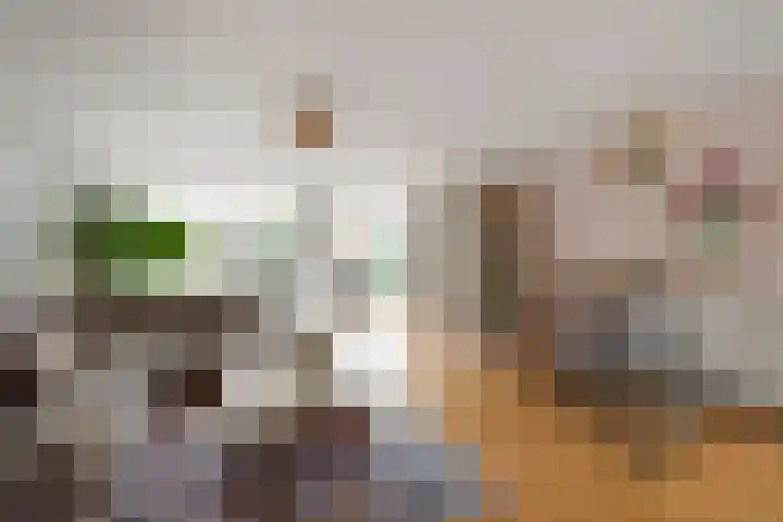 Witte de Withlaan 21 Bennebroek thumbnail 7