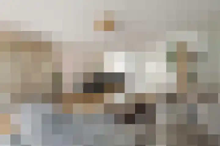 Witte de Withlaan 21 Bennebroek thumbnail 8
