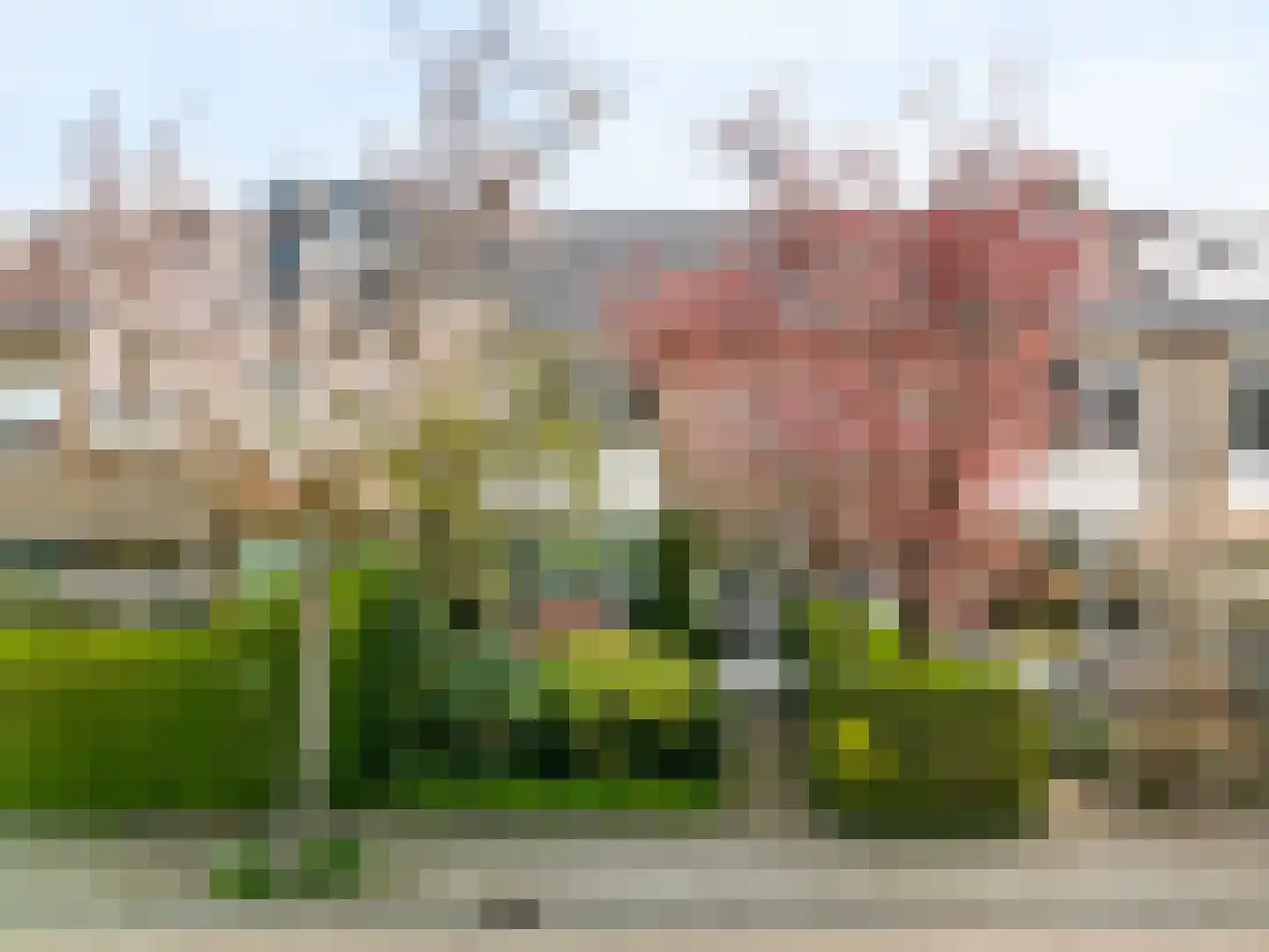 Witte de Withlaan 22 Oegstgeest