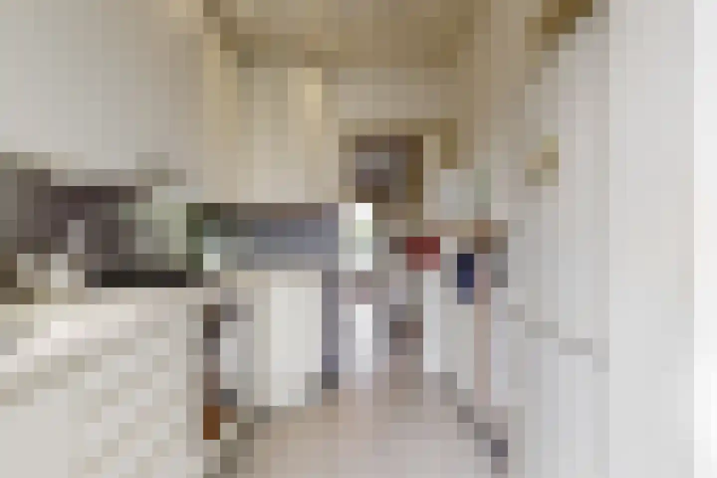 Witte de Withlaan 22 Oegstgeest thumbnail 12