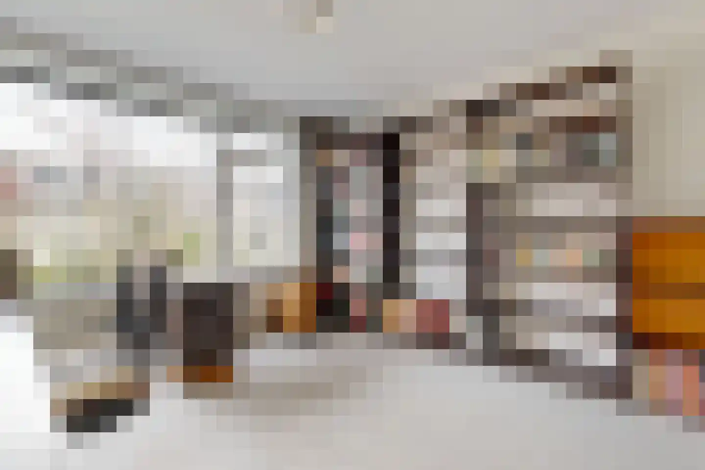 Witte de Withlaan 22 Oegstgeest thumbnail 14