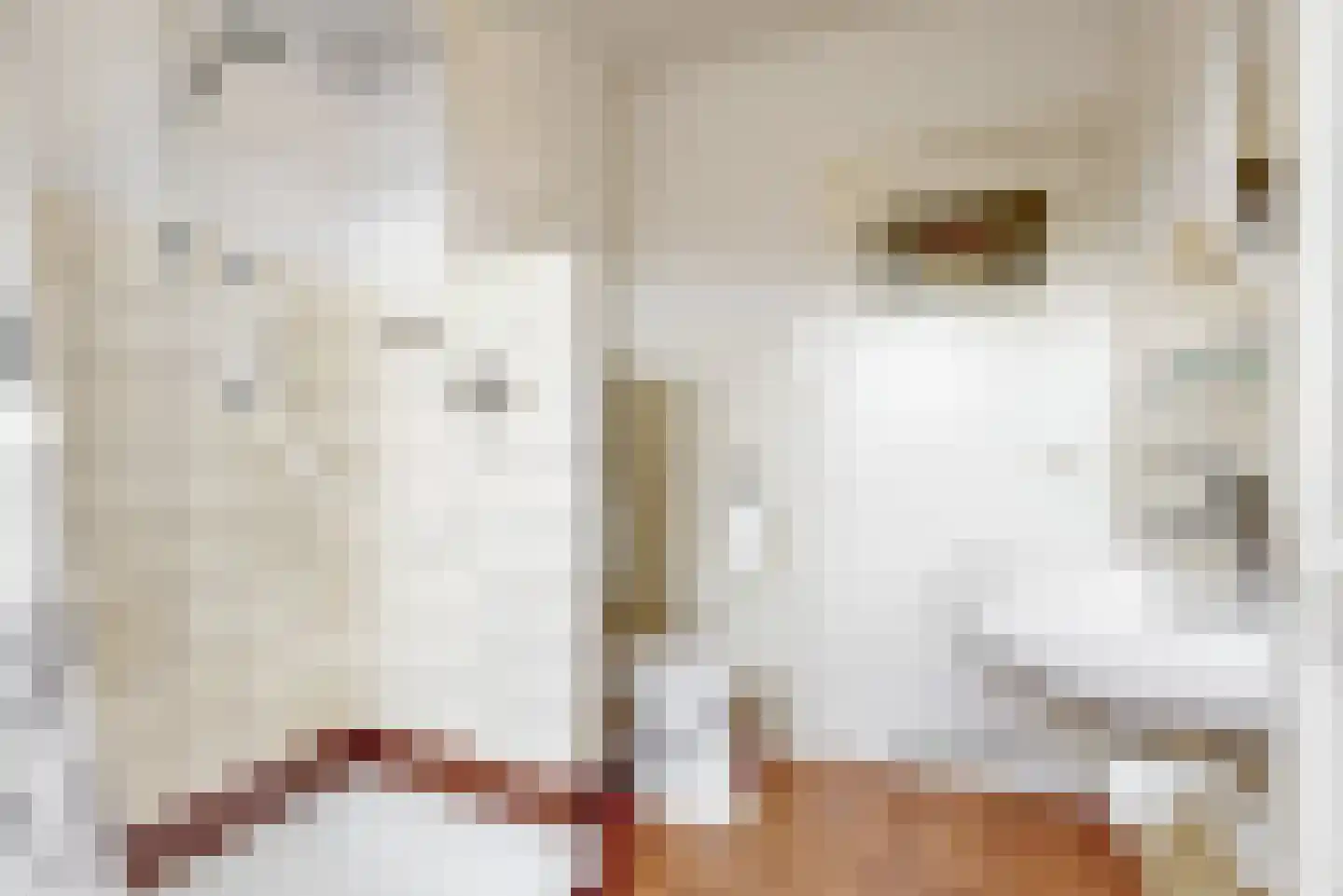 Witte de Withlaan 22 Oegstgeest thumbnail 19