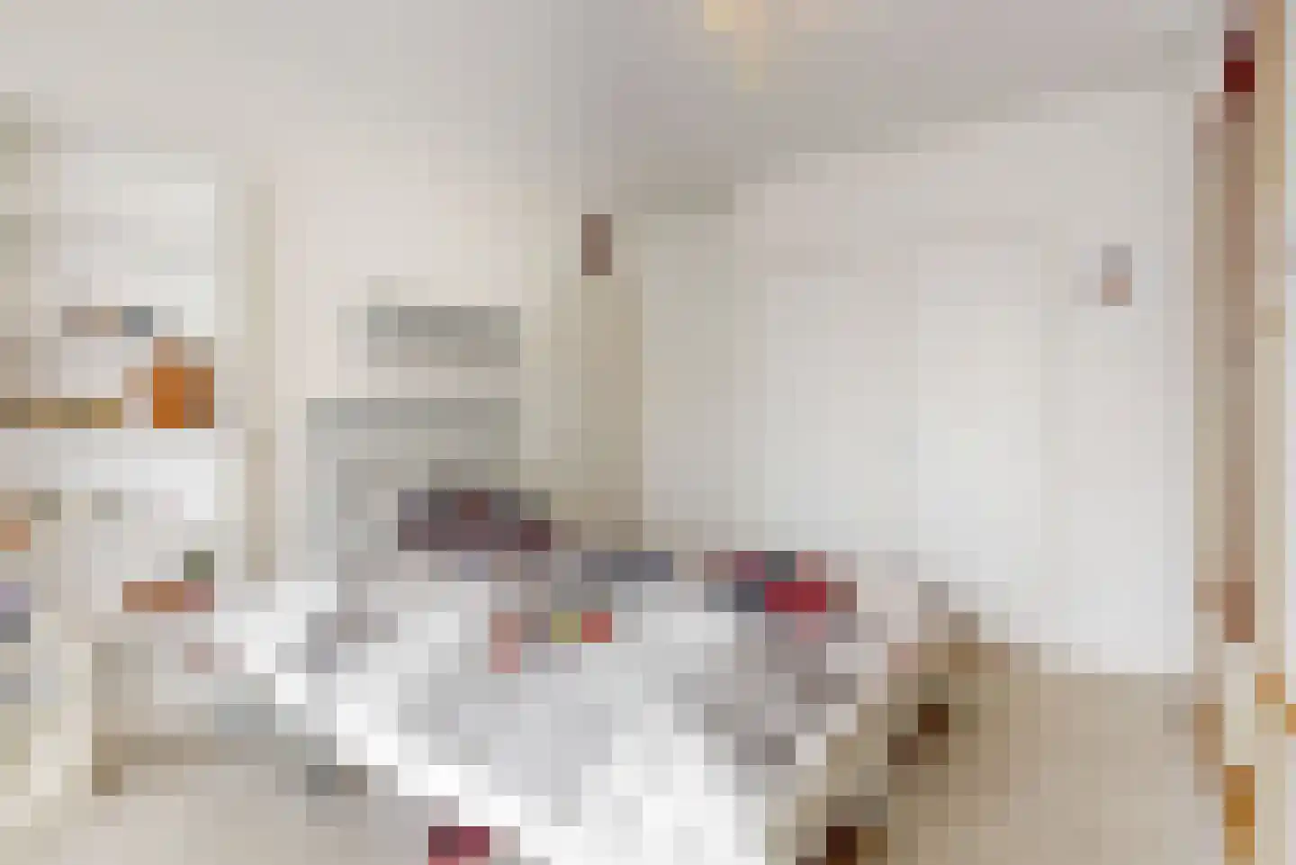 Witte de Withlaan 22 Oegstgeest thumbnail 21