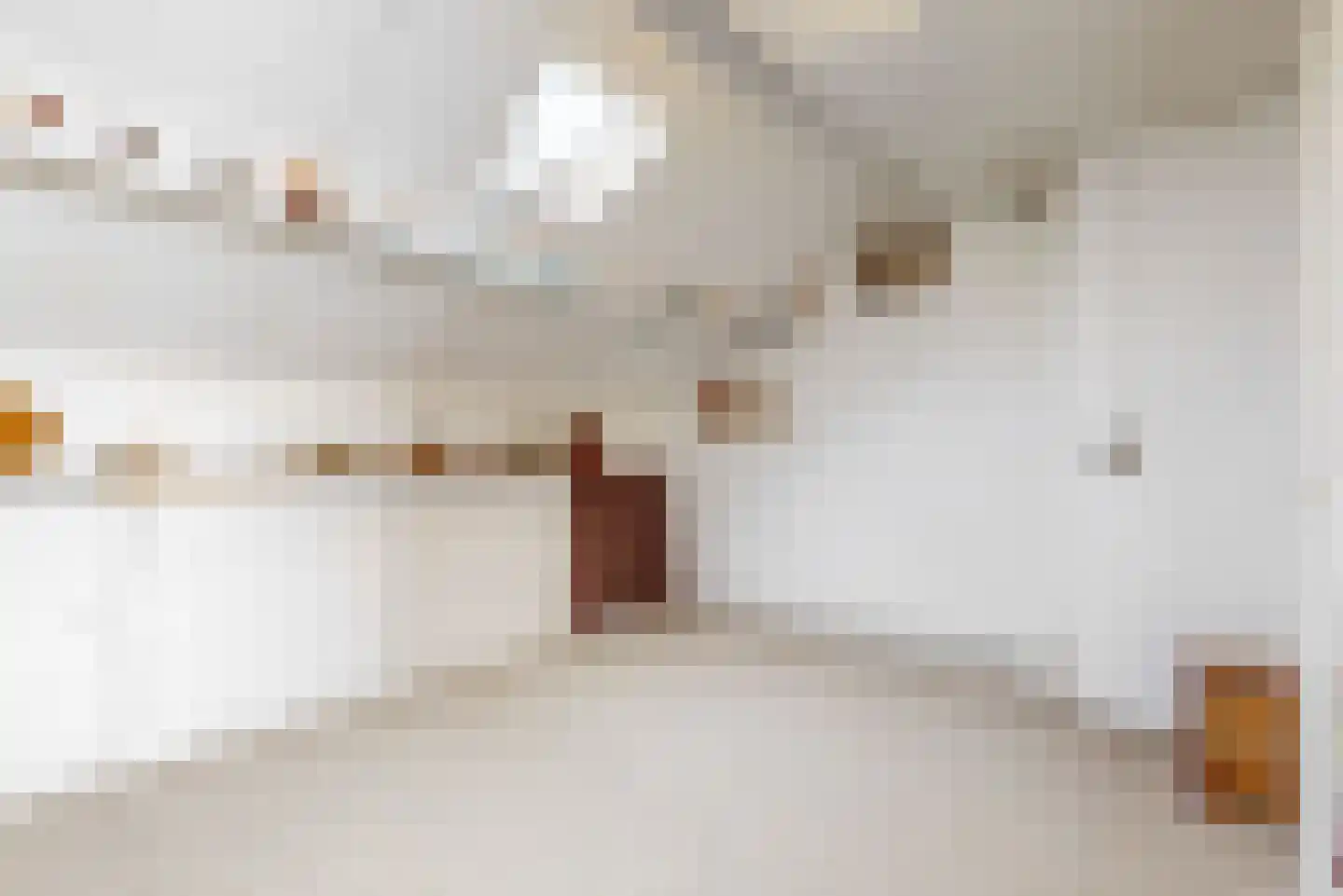 Witte de Withlaan 22 Oegstgeest thumbnail 23