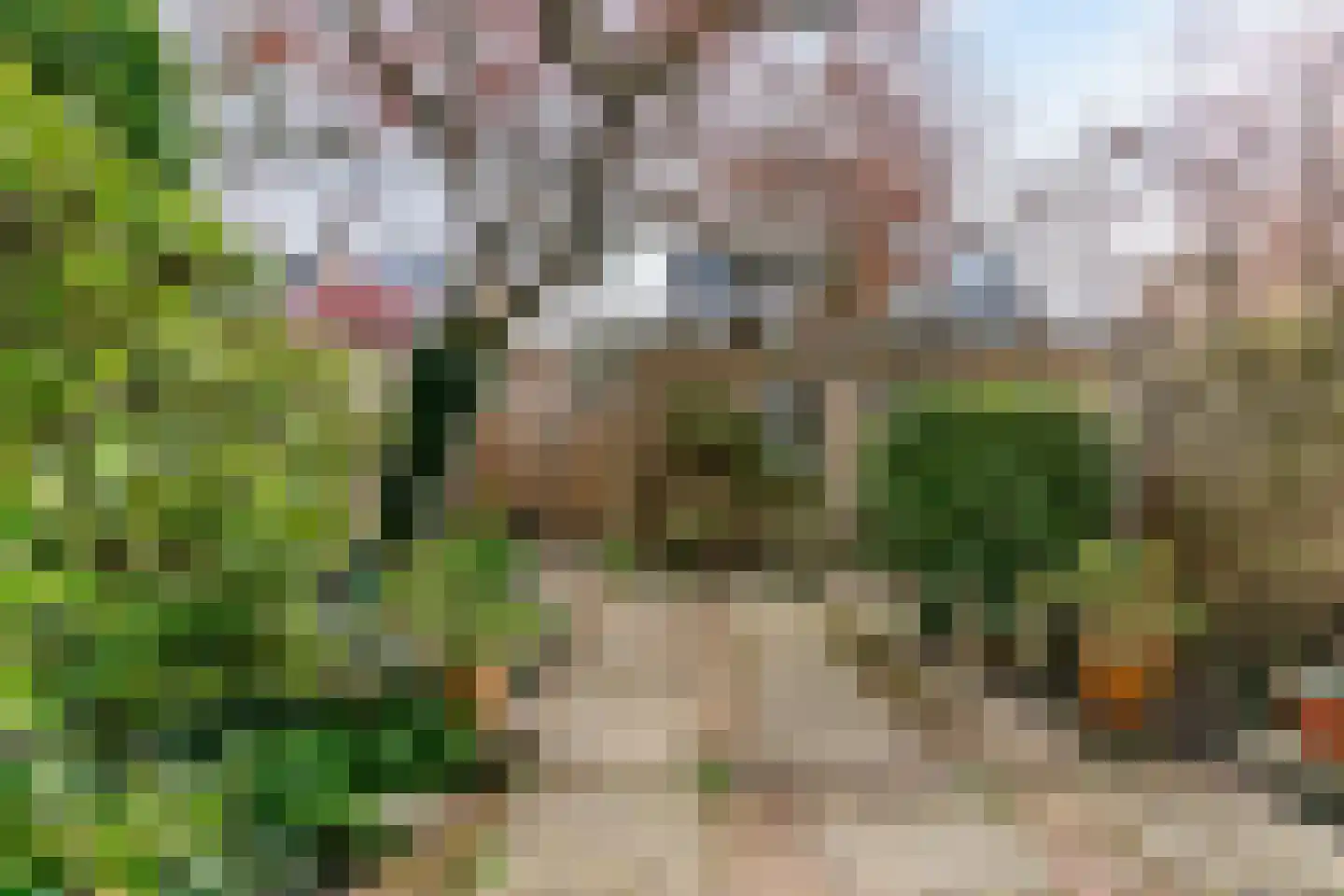 Witte de Withlaan 22 Oegstgeest thumbnail 30
