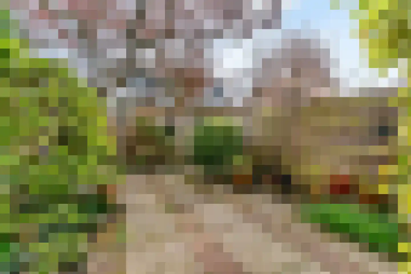 Witte de Withlaan 22 Oegstgeest thumbnail 31