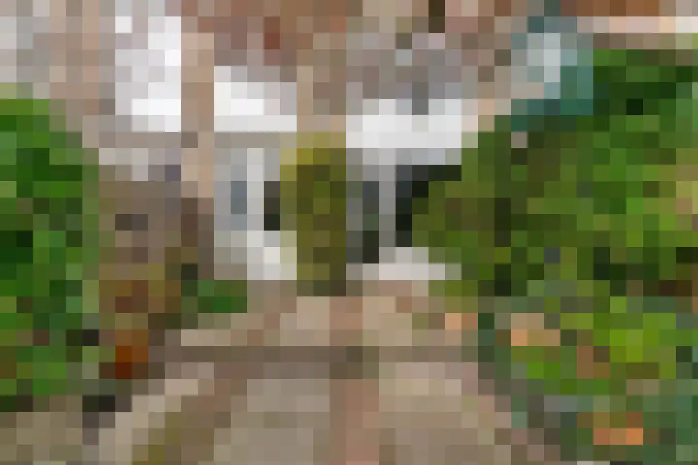 Witte de Withlaan 22 Oegstgeest thumbnail 32